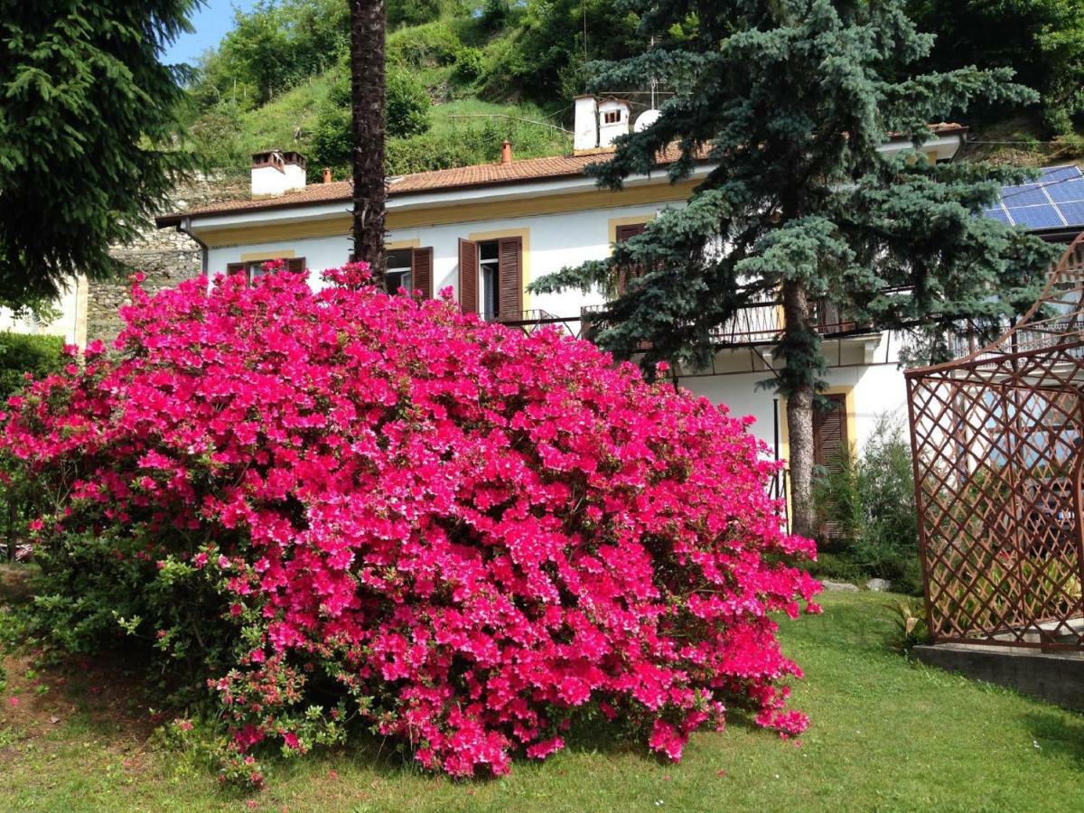 Villa Ombrosa Nebbiuno Exterior photo